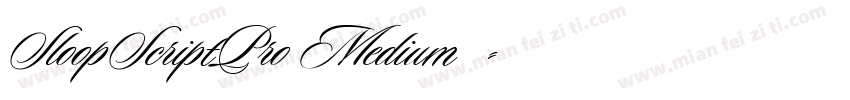 SloopScriptPro Medium◆字体转换